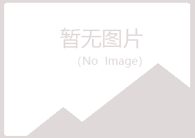 安阳龙安夏菡化学有限公司